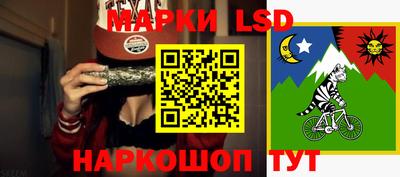 амф Кандалакша