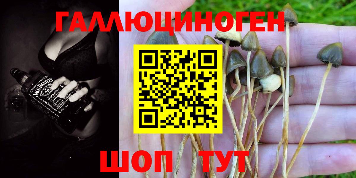 как найти наркотики  Вход с VPN  Галлюциногенные грибы Psilocybine cubensis  Костомукша  Галлюциногенные грибы MAGIC MUSHROOMS 